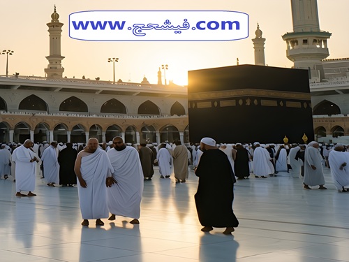 فهرست فیش‌های حج تمتع و عمره به تفکیک نوع و شهر 3 بهمن 1404