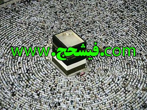 خرید و فروش فیش حج