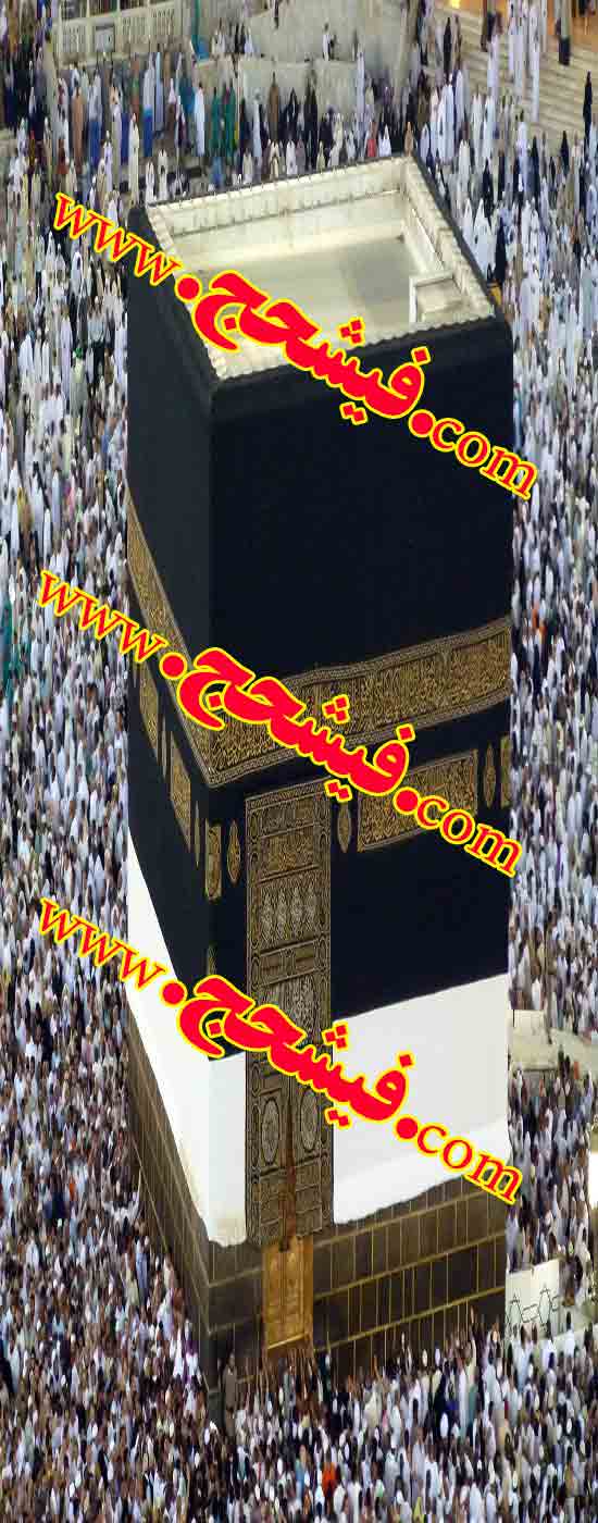 سایت خرید فروش فیش حج 09191168763